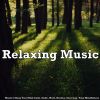 Download track Música Para Relaxar, Acalmar Animais, Crescer Plantas, Crianças Dormir, Música Para Bebê