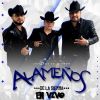 Download track Alfredo Beltran 'El Mochomo' (En Vivo)