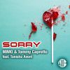 Download track Sorry (Radio Edit)