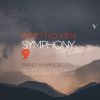 Download track Symphony No. 9 In D Minor, Op. 125 