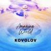 Download track Amazing World