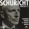 Download track Sinfonia Domestica, Op. 53: V. Finale: Sehr Lebhaft