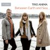 Download track Flow, My Tears (Arr. Trio Anima For Flute, Viola & Harp)