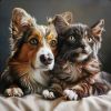 Download track Gentle Sounds Soothe Furry Friends