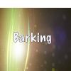 Download track Barking (Tribute To Ramz)