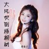 Download track 大风吹倒梧桐树 (伴奏)