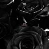 Download track Black Rose (Original Mix)