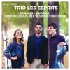 Download track Piano Trio No. 1 In B Major, Op. 8: I. Allegro Con Brio