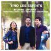 Download track Piano Trio No. 1 In B Major, Op. 8: II. Scherzo (Allegro Molto)