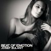 Download track Beat Of Emotion