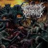 Download track Visceral Vital Organs