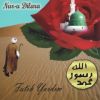 Download track Gelin Allah Diyelim