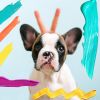 Download track Bright Backdrops For Restless Puppies