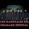 Download track Homenaje A Los Chamacos