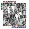 Download track You Are In My System. (Diplomat Remix)