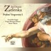 Download track Magnificat ZWV 108： Magnificat Anima Mea Dominum