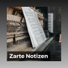 Download track Zarte Notizen