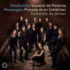 Download track Souvenir De Florence, Op. 70, TH 118 (Performed By String Ensemble) II. Adagio Cantabile E Con Moto