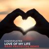 Download track Love Of My Life (Bass Prototype Remix Cut)