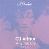 Download track Why You Cry (Original Mix)