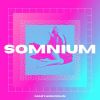 Download track SOMNIUM (Extended Mix)