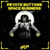 Download track Space Business