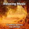 Download track Relaxing Music Sleep Aid
