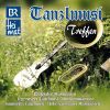 Download track Tegernseer Tanzlmusi - An Der Slowenischen Grenze – Polka