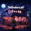 Download track Thundercat