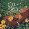 Download track Cello Concerto In A Minor, RV 421- 2. Largo