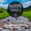 Download track Gentle Riverbank Flowing Waters, Pt. 7