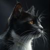 Download track Soothing Tones For Cat Relaxation