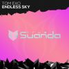 Download track Endless Sky (Original Mix)