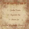 Download track Spiritual Freedom