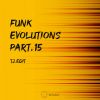 Download track Funk Evolutions 15 (Original Mix)