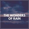 Download track Rain For Happy Dreams, Pt. 7