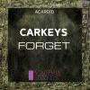 Download track Forget