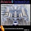 Download track The Organs Of Life