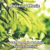 Download track Relaxing Music, Pt. 46