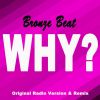 Download track Why? (Original Radio Version)