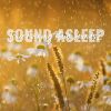 Download track Pure Evening Rain Sounds, Pt. 2