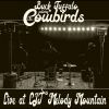 Download track The Cowbirds Intro (Live)