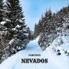 Download track Melodía De Invierno