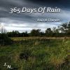 Download track Soft Rain Outside On Rooftop