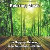 Download track Relaxing Music, Pt. 9