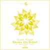 Download track Wanna Do Right (Rishi K. Remix)