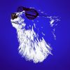 Download track Understand This (Polar Bears Can Dance Remix)