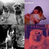 Download track Mind-Blowing Ambience For Training Dogs