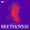 Download track Beethoven: Piano Sonata No. 11 In B-Flat Major, Op. 22: II. Adagio Con Molto Espressione