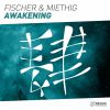 Download track Awakening (Extended Mix)